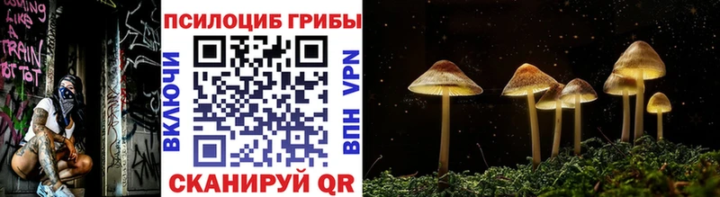 Купить закладки  Малоархангельск  Псилоцибиновые грибы Cubensis 